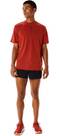 Vorschau: ASICS Herren T-Shirt METARUN™ 1/2 ZIP SS TOP