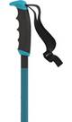 Vorschau: ATOMIC Herren Alpin-Skistock REDSTER X TEAL BLUE