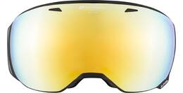 Vorschau: ALPINA Skibrille Big Horn MM