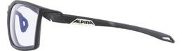 Vorschau: ALPINA Brille TWIST FIVE