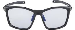 Vorschau: ALPINA Brille TWIST FIVE