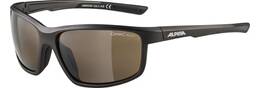 Vorschau: ALPINA Herren Brille DEFEY