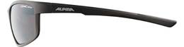 Vorschau: ALPINA Herren Brille DEFEY
