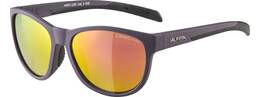 Vorschau: ALPINA Herren Brille NACAN II