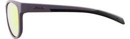 Vorschau: ALPINA Herren Brille NACAN II