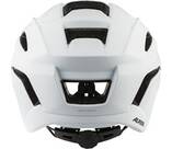 Vorschau: ALPINA Helm KAMLOOP
