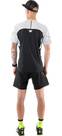Vorschau: DYNAFIT Herren Shirt ALPINE PRO M S/S