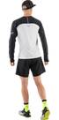 Vorschau: DYNAFIT Herren Shirt ALPINE PRO M L/S TEE