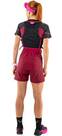 Vorschau: DYNAFIT Damen Shorts ALPINE 2 W SHORTS