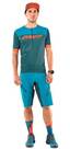 Vorschau: DYNAFIT Herren Shorts RIDE LIGHT DST SHORTS M