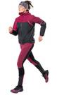 Vorschau: DYNAFIT Damen Funktionsjacke ALPINE GTX W JKT