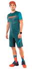 Vorschau: DYNAFIT Herren Shirt RIDE LIGHT S/S FZ TEE M