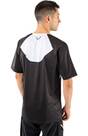 Vorschau: DYNAFIT Herren Shirt RIDE S/S TEE M