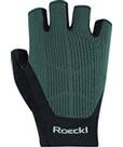 Vorschau: ROECKL SPORTS Herren Handschuhe Icon