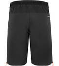 Vorschau: SALEWA Herren Shorts ORTLES TWR STRETCH M SHORTS