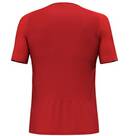 Vorschau: SALEWA Herren Shirt PEDROC PTC DELTA M T-SHIRT