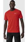 Vorschau: SALEWA Herren Shirt PEDROC PTC DELTA M T-SHIRT