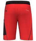 Vorschau: SALEWA Herren Shorts PEDROC 3 DST M CARGO SHORTS