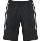 Vorschau: SCHNEIDER SPORTSWEAR Herren Shorts ROCKLEYM-SHORTS