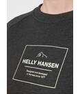 Vorschau: HELLYHANSEN Damen Sweatshirt W F2F ORGANIC COTTON SWEATER