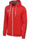 Vorschau: HUMMEL Fußball - Teamsport Textil - Sweatshirts Authentic Poly Kapuzenjacke