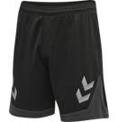 Vorschau: HUMMEL Herren LEAD POLY SHORTS