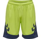 LIME PUNCH