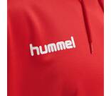 Vorschau: HUMMEL Male hmlPROMO POLY HOODIE