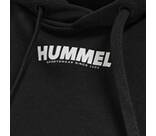 Vorschau: HUMMEL Damen Kapuzensweat hmlLEGACY WOMAN CROPPED HOODIE