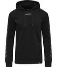 Vorschau: HUMMEL Herren Kapuzensweat hmlLEGACY HOODIE