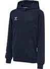 Vorschau: HUMMEL Kinder Sweatshirt hmlMOVE GRID COTTON HOODIE KIDS