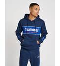 Vorschau: HUMMEL Herren Kapuzensweat hmlLGC JULIAN HOODIE