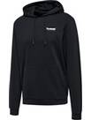 Vorschau: HUMMEL Herren Kapuzensweat hmlLGC AUSTIN HOODIE