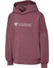 Vorschau: HUMMEL Kinder Kapuzensweat hmlOCTOVA HOODIE