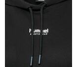 Vorschau: HUMMEL Damen Kapuzensweat hmlLGC SHAI HOODIE