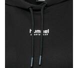 Vorschau: HUMMEL Damen Kapuzensweat hmlLGC SHAI HOODIE