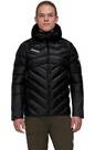 Vorschau: MAMMUT Herren Funktionsjacke Taiss IN