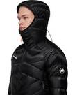 Vorschau: MAMMUT Herren Funktionsjacke Taiss IN