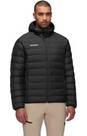 Vorschau: MAMMUT Herren Funktionsjacke Waymarker IN
