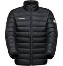 Vorschau: MAMMUT Herren Funktionsjacke Waymarker IN Jacket