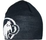 Vorschau: MAMMUT Herren Beanie Tweak