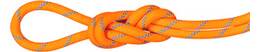 Dry Standard, vibrant orange-ocean