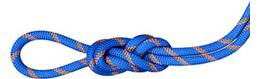 Vorschau: MAMMUT 9.0 Alpine Sender Dry Rope