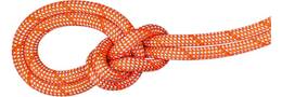 Classic Standard, orange-white