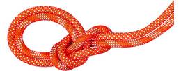 Vorschau: MAMMUT 9.8 Crag Classic Rope