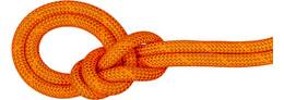 Vorschau: MAMMUT 9.8 Crag Dry Rope
