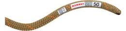 Vorschau: MAMMUT 9.9 Gym Workhorse Classic Rope