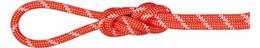 Vorschau: MAMMUT 8.0 Alpine Classic Rope