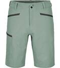 arctic grey