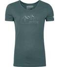 dark arctic grey